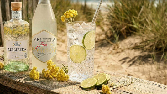 Le-gout-du-gin-tonic-sans-alcool
