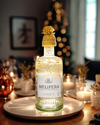 Lumineuse Hiver