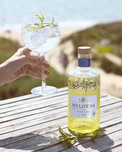 Gin Édition Évasion