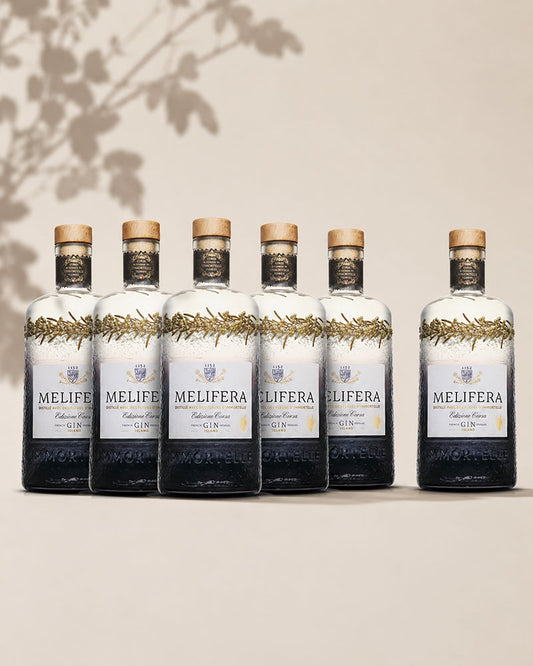 6 Gin Edizione Corsa